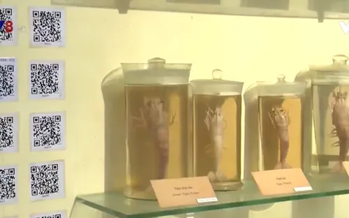 Ứng dụng công nghệ số trong bảo tồn di sản