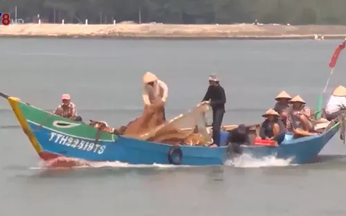 Liên kết ngăn chặn vi phạm đánh bắt tận diệt trên ngư trường