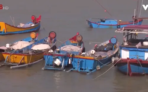 Khuyến cáo ngư dân không ra khơi khi biển động