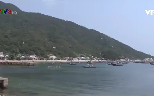 Thu hẹp  khu du lịch sinh quyển Cù Lao Chàm