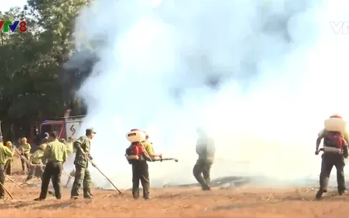 Gia Lai diễn tập phòng cháy chữa cháy