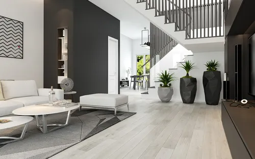Ngôi nhà có nội thất hai màu đen trắng tuyệt đẹp
