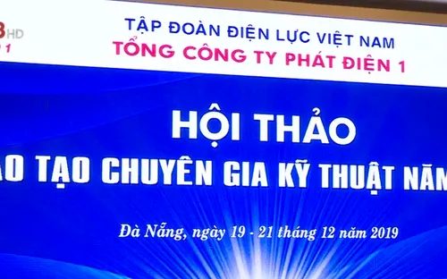 Hội thảo kỹ thuật cấp chuyên gia ngành điện