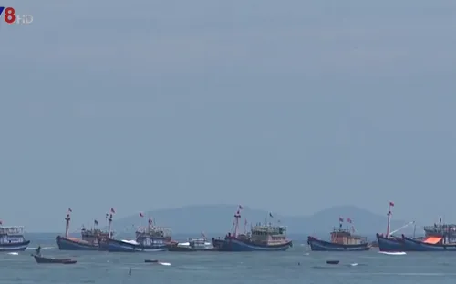 Quảng Ngãi thanh tra công tác đăng kiểm tàu cá