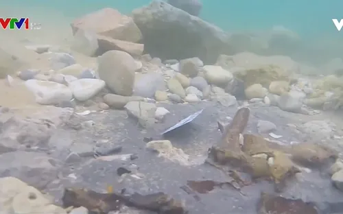 Phát hiện đê biển có niên đại 7.000 năm