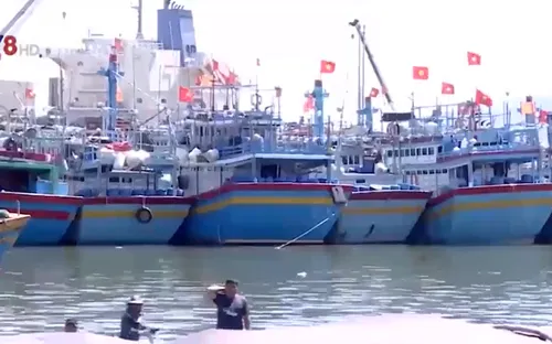 Bình Định tước giấy phép tàu cá vi phạm vùng biển nước ngoài