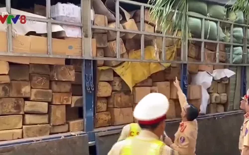 Công an Quảng Ngãi bắt xe tải vận chuyển gỗ không rõ nguồn gốc