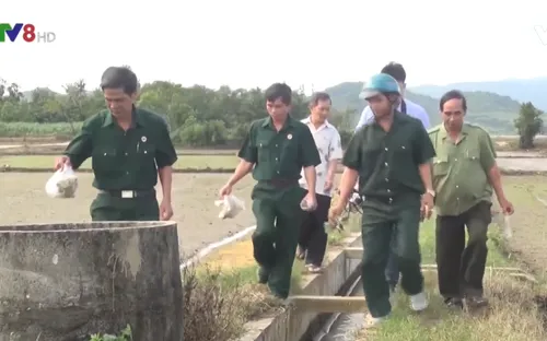 Cựu chiến binh tham gia bảo vệ môi trường trên đồng ruộng