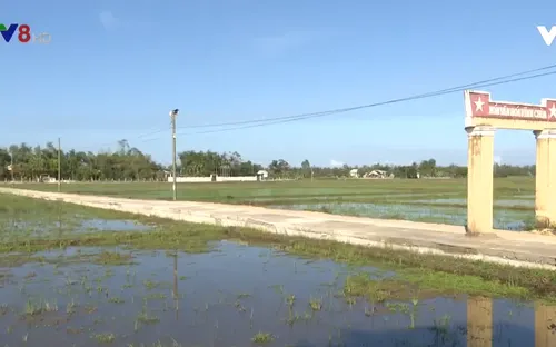 Quảng Nam hiệu quả trong phát triển giao thông nông thôn