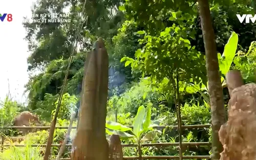 Khám phá cột đá linh thiêng của đồng bào Cơ Tu