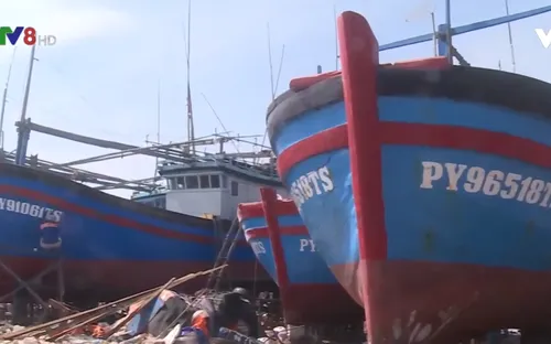 Ngư dân khai thác cá ngừ vào vụ mới gặp nhiều khó khăn