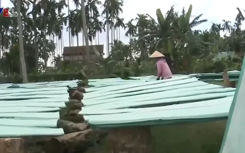 Làng nghề bánh tráng tại Quảng Ngãi tất bật vụ Tết