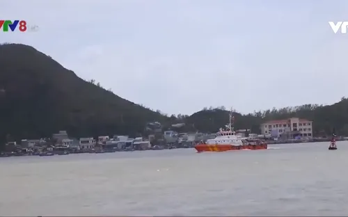 Bình Định: Chuẩn bị phương án xử lý dầu tràn từ tàu Toàn Phát 68