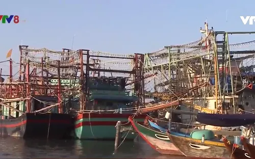 Quảng Nam cho vay 22,5 tỷ đóng mới 15 tàu cá công suất lớn