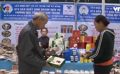 Đà Nẵng khai mạc hội chợ hàng Việt 2019