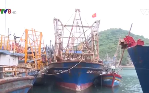 Giải quyết vướng mắc mua bảo hiểm tàu cá của ngư dân