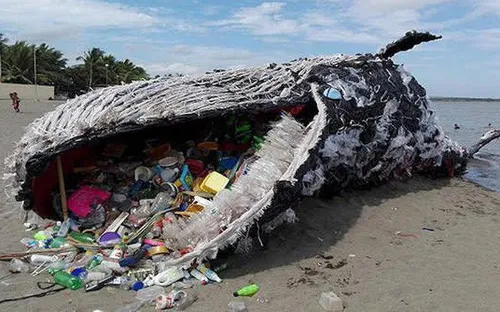 Làm thế nào để giảm thiểu rác thải nhựa?