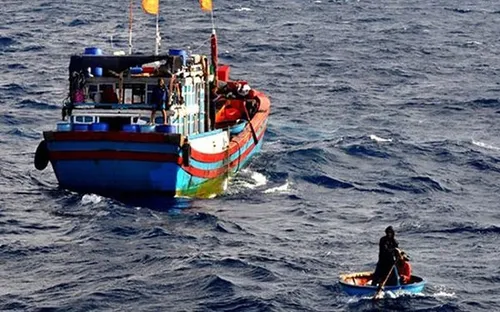 3 ngư dân Bình Định rơi xuống biển vẫn chưa được tìm thấy