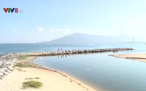 Đà Nẵng kiểm tra chất lượng nước biển ven vịnh Đà Nẵng