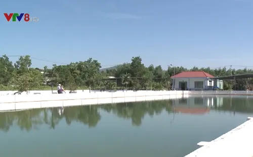 Đà Nẵng: Nước sinh hoạt có vị lợ, đục bất thường