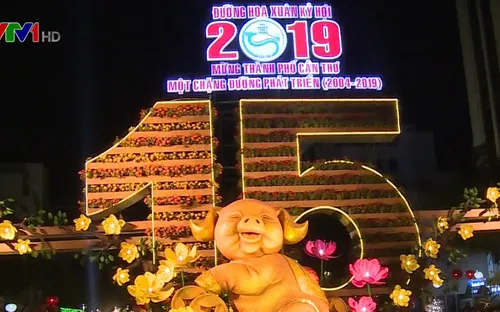 Đường hoa Xuân Cần Thơ rực rỡ, làm từ 80.000 chậu hoa tươi