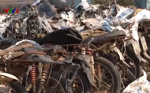 Hàng trăm xe máy chở gỗ lậu khó bán thanh lý