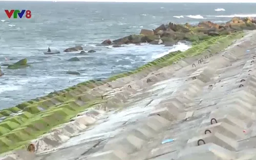 Đâu là giải pháp tối ưu bảo vệ bờ biển Cửa Đại – Hội An?