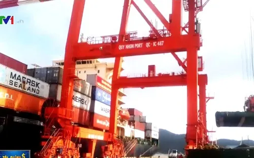 VIMC muốn tiếp nhận ngay Cảng Quy Nhơn sau kết luận thanh tra