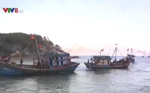 Ngư dân Quảng Ngãi lao đao vì tình trạng bồi lấp cửa biển