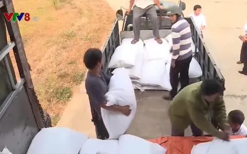 Hơn nửa triệu người nghèo nhận được gạo hỗ trợ của Chính phủ