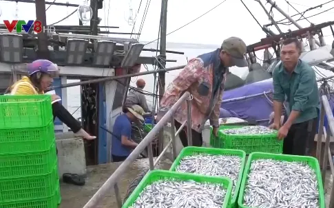 Ngư dân Quảng Trị ra quân đánh bắt sau Tết