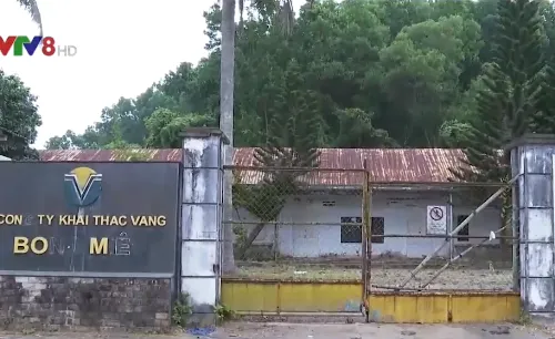 Tái diễn khai thác vàng trái phép tại Bồng Miêu