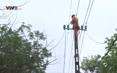 Hiểm nguy từ vi phạm hành lang an toàn lưới điện cao áp