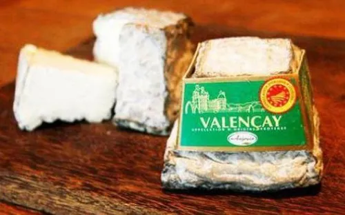 Bộ Công Thương khuyến cáo phô mai sữa dê nhập khẩu nhiễm khuẩn