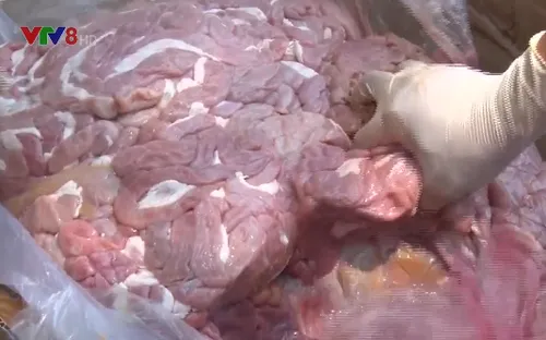 Quảng Bình bắt giữ 260kg nội tạng bẩn không rõ nguồn gốc