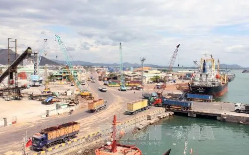 Sẽ thu hồi cổ phần bán sai tại cảng Quy Nhơn