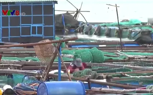 Vùng nuôi thủy sản Vạn Ninh phải di dời vào năm 2025