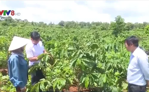 Đắk Nông khuyến cáo tiết kiệm nước trong mùa khô hạn