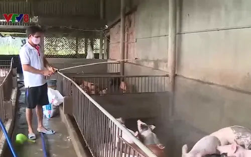 Nâng cao ý thức phòng dịch cho người chăn nuôi