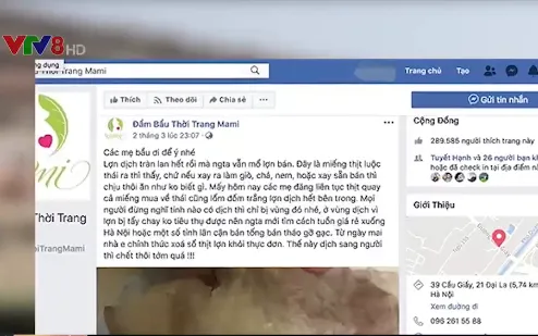 Xử nghiêm Facebook tung tin sai sự thật về dịch tả lợn châu Phi