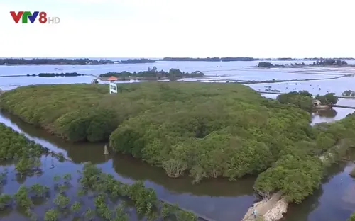 Rú Chá - Bình minh hoang sơ nơi cửa biển