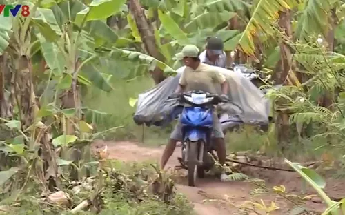 Buôn lậu trên biên giới diễn biến phức tạp