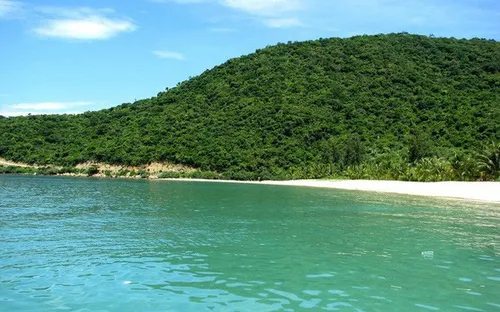 Quảng Nam lo ngại việc Đà Nẵng đưa khách từ sông Hàn ra thẳng Cù Lao Chàm