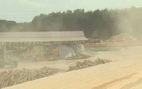 Xây dựng trái phép, nhà máy dăm gỗ vẫn hoạt động lén lút ở Quảng Trị