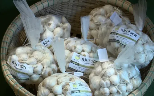 Kiểm tra đột xuất 48 điểm bán tỏi Lý Sơn