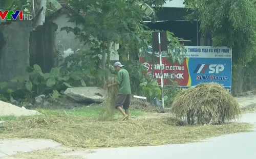 Mất an toàn giao thông vì rơm rạ phơi trên đường