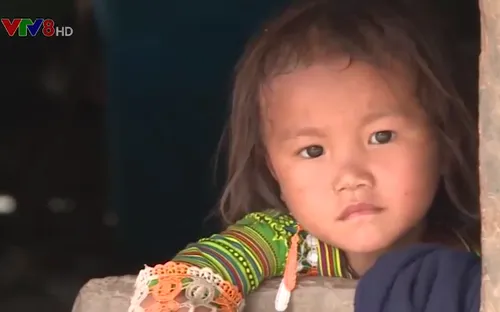 Đắk Lắk: Di dân tự do và những hậu quả kéo dài