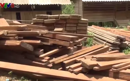 Quảng Bình: Tịch thu gỗ lậu trong trụ sở UBND xã