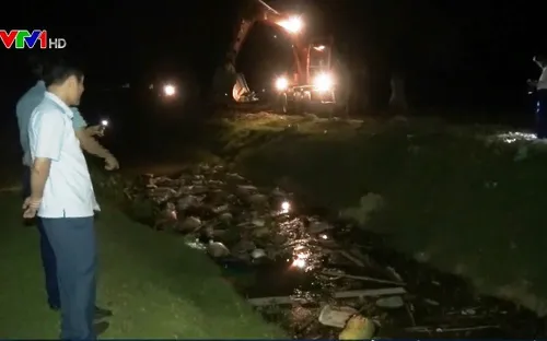 Điều tra đối tượng vứt xác lợn bệnh xuống kênh