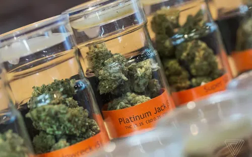 Google cấm bán cần sa qua ứng dụng trên Play Store